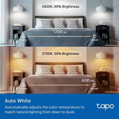 Tapo L535E  Smart WiFi Light Bulb, Multicolor