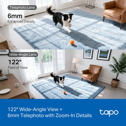 TP-Link Tapo C245D Dual Lens Pan/Tilt Security Camera